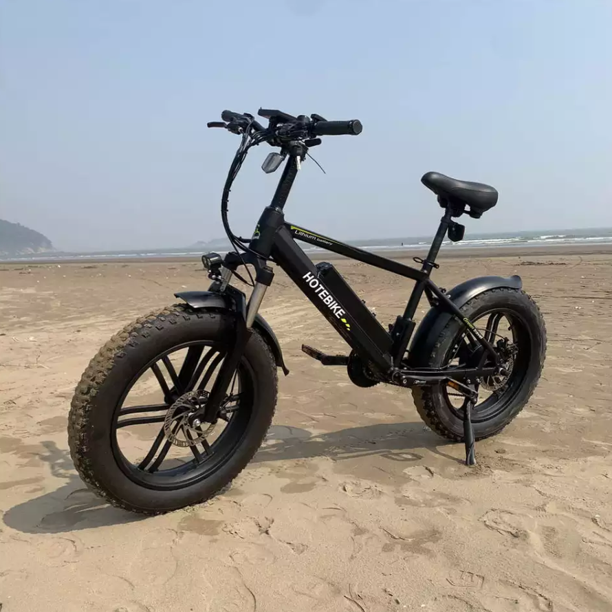 fat tire bicycle A6AH20F 20 fat tire 48V 750W tire fat bike gearless brushless hub-motor 20 inch electric bike