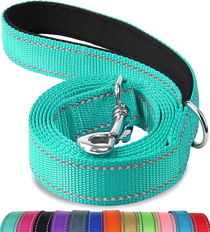 Joytale Reflective Dog Leash,6 FT/5FT/4 FT, Padded Handle Nylon Dogs Leashes for Walking,Training Lead for Large, Medium & Small Dogs